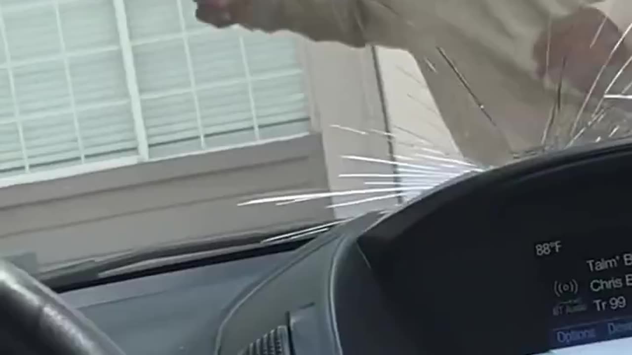 Diversity doing low IQ things