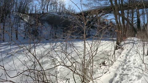 Episode 78 - The sun is the key for your plants and trees