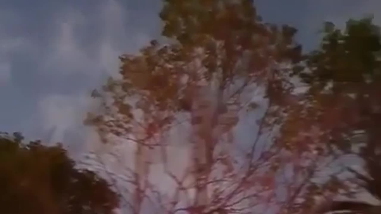 🌠🔍 Orb Stationary Then Evolves in Flight | TheTruthAbove