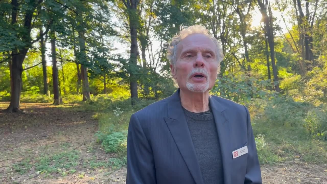 October 10th, 2025 - Art in the Woods, Mural Artist Needed