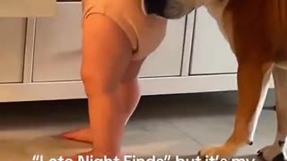 Woe Day 135. I am in the ark. Waiting for GOD to open the Door for a spring/summer Pentecost rapture