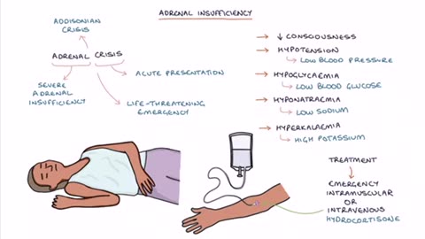 Understanding Cortisol and the Adrenal Axis