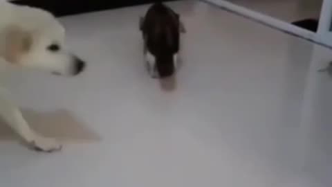 Sorry for the misunderstanding and I apologize 😍