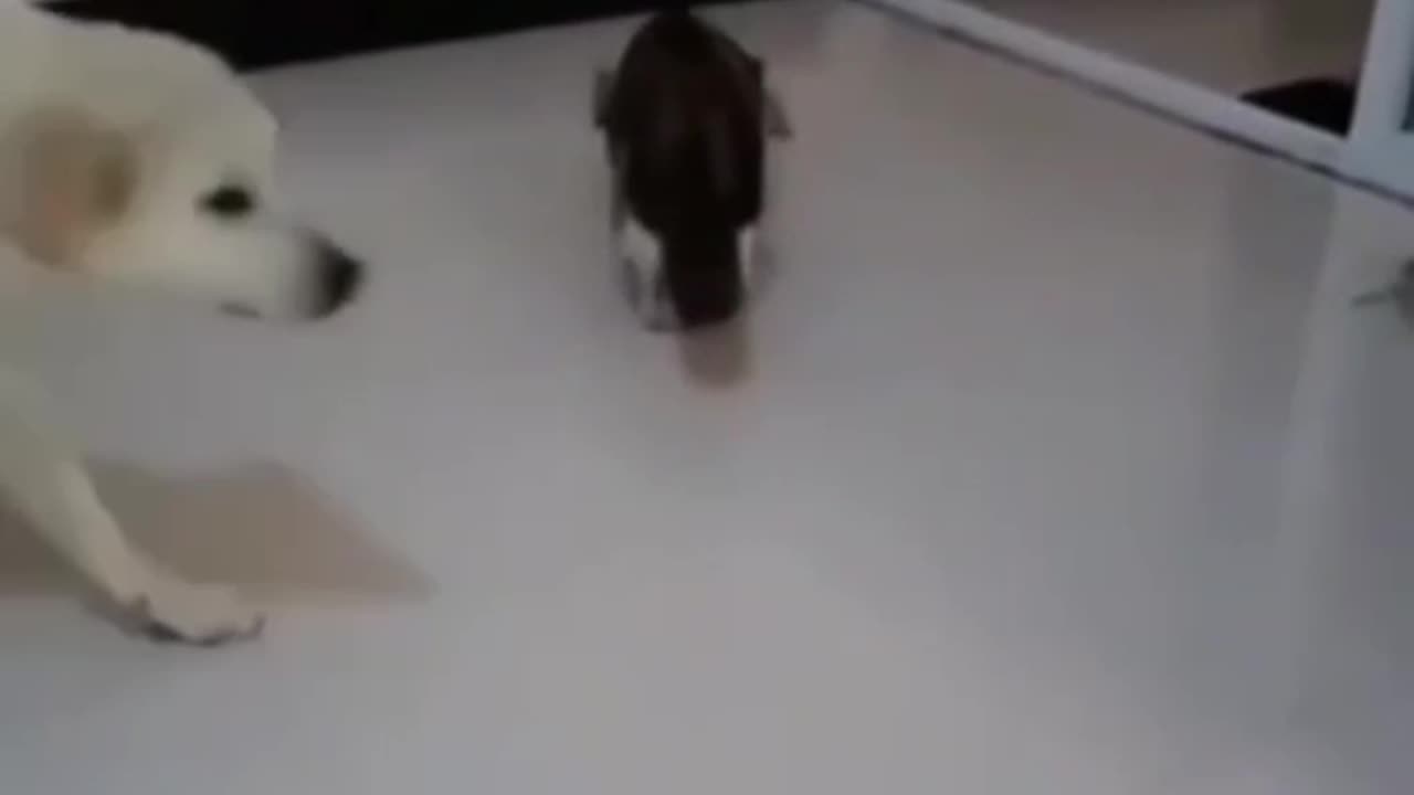 Sorry for the misunderstanding and I apologize 😍