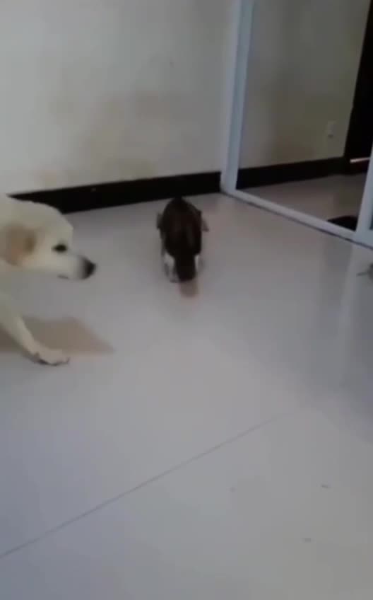 Sorry for the misunderstanding and I apologize 😍