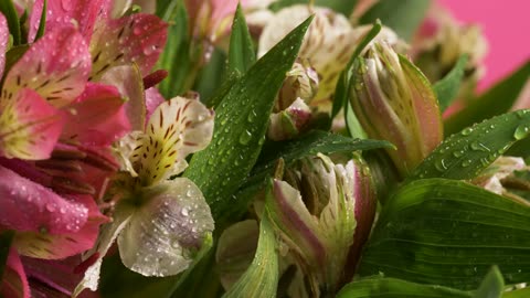 Pink and white flower bouquet