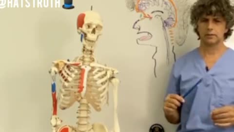 Gil Hedley PhD talks us through Pineal Gland activation.