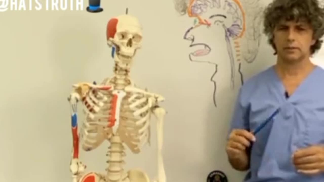 Gil Hedley PhD talks us through Pineal Gland activation.