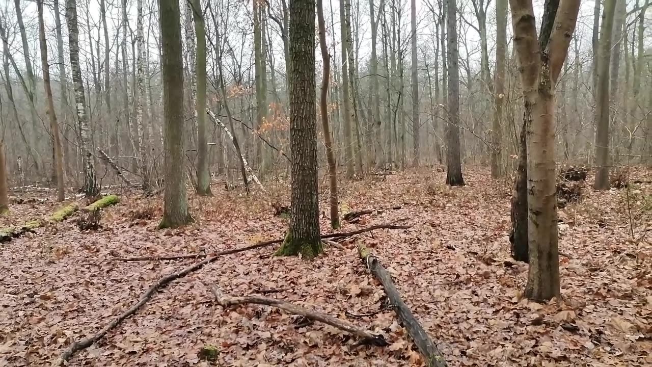 mój scenariusz właśnie chichocze :):)