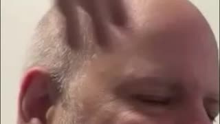 Dog Chooses Bald Head! Touching Shelter Moment