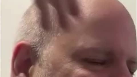 Dog Chooses Bald Head! Touching Shelter Moment