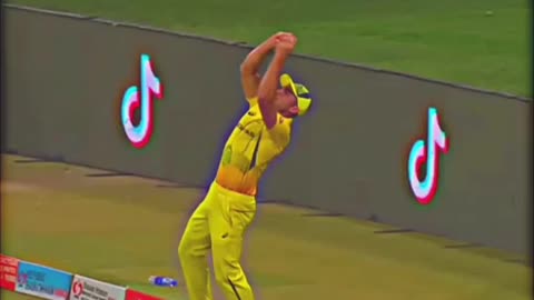 Marcus stoinis unbelievable catch 👏