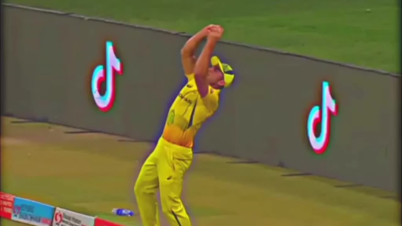 Marcus stoinis unbelievable catch 👏