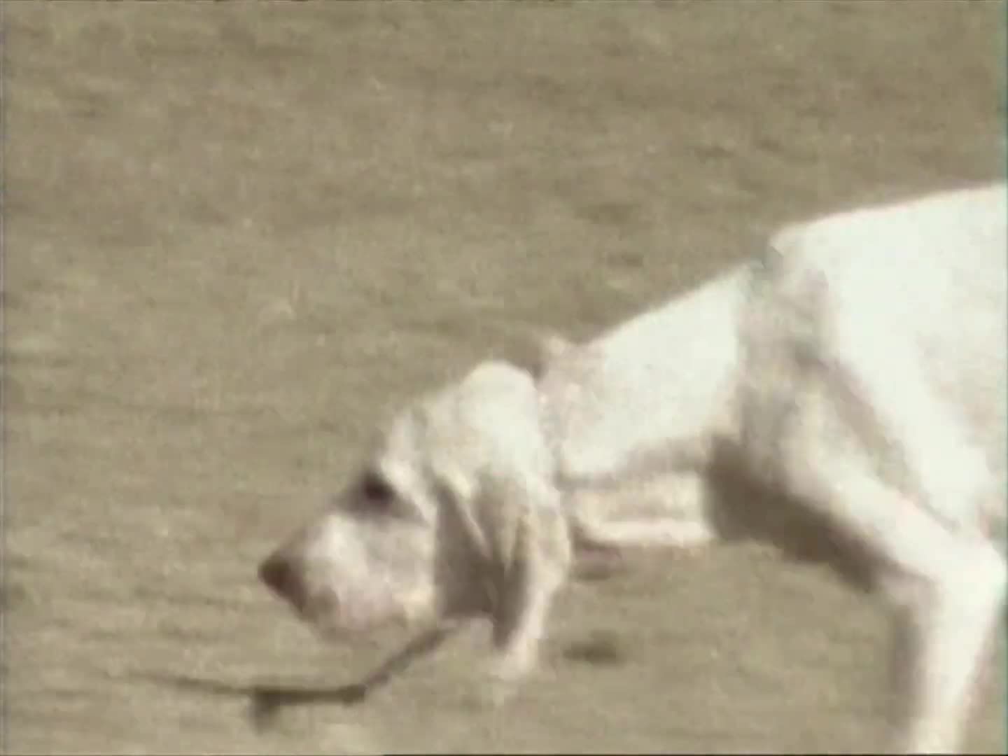 John Frusciante - Going Inside