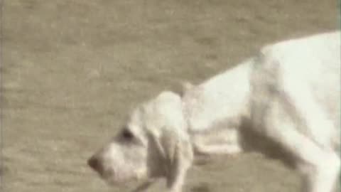 John Frusciante - Going Inside