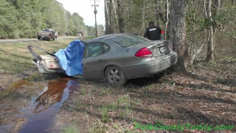 FATAL ACCIDENT, VEHICLE VS TREE, SEGNO TEXAS, 02/28/25...