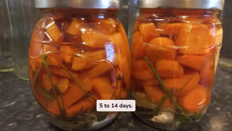 Fermentation Magic DIY transforming carrots into a nutritional powerhouse