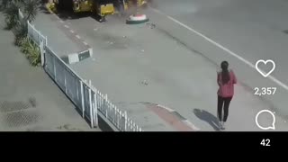 Flyover fly