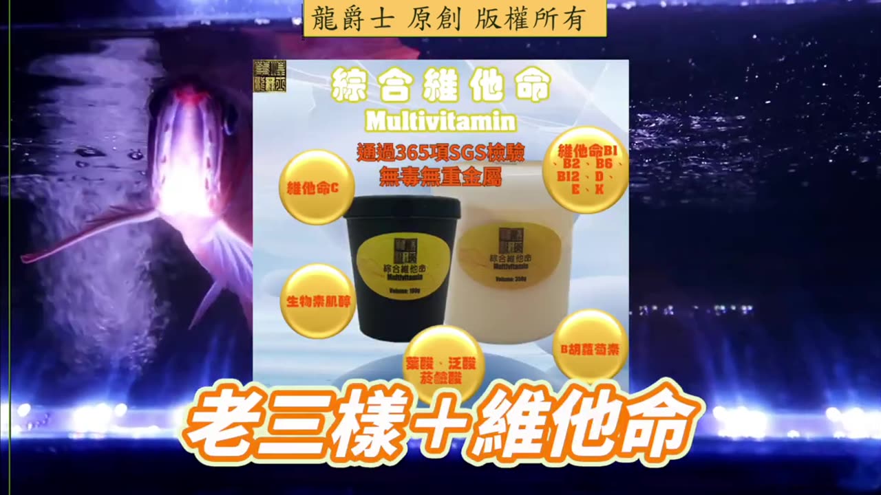 【龍爵士】千問千答 Q262 金龍被花豬偷襲請問需要做甚麼處置嗎