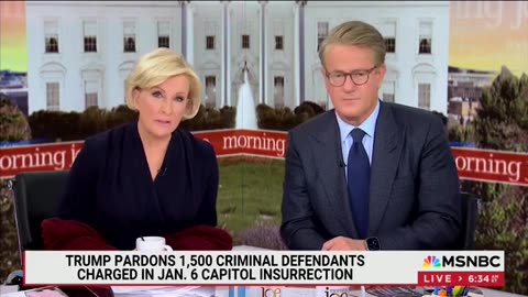 'Morning Joe' Hosts Clash With Guest Who Says Trump Is 'Feeding People What They Want To Hear'