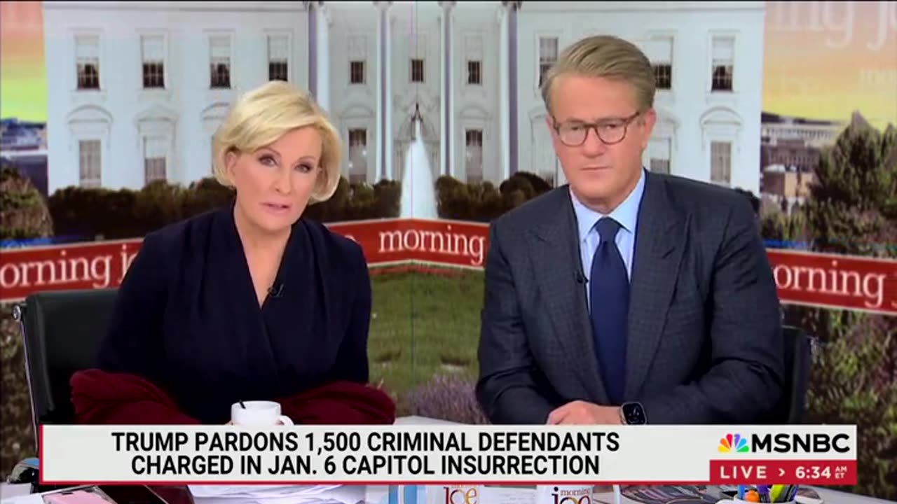 'Morning Joe' Hosts Clash With Guest Who Says Trump Is 'Feeding People What They Want To Hear'