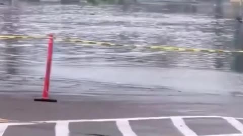 NA NOVÝ ROK POD VODOU