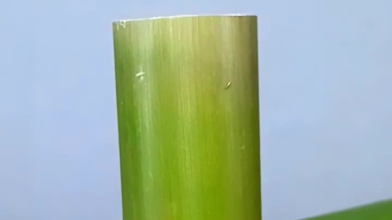 Home make idea bamboo