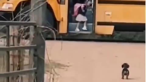 A baby waiting for a baby 🥺❤️