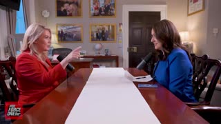 Karoline Leavitt Says Reporters Caught Spying White House Staff