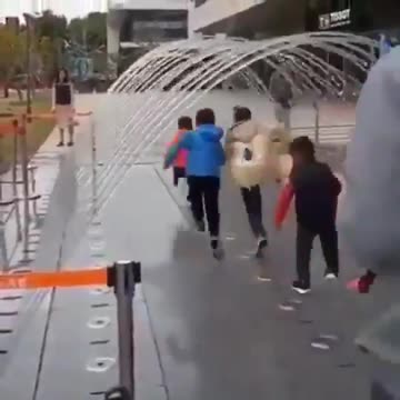 The crypto market explained in a few seconds.