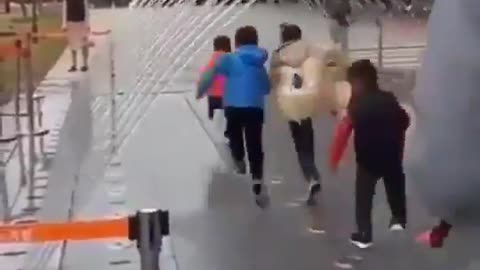 The crypto market explained in a few seconds.