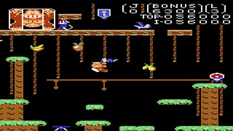 Atari 7800 Longplay 009 Donkey Kong Jr