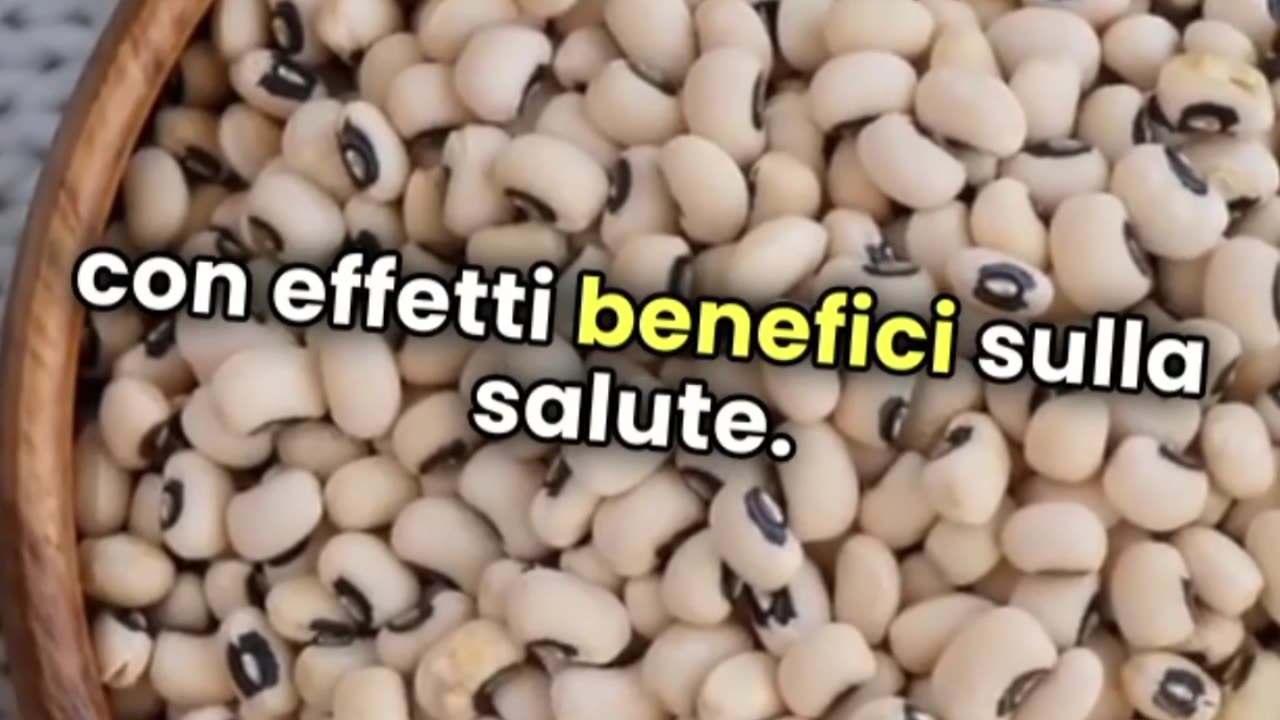 Proteine Vegetali a Confronto: I Legumi Sono un’Ottima Scelta?