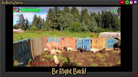 🟢POV Mexican Night w/ HOMESTEAD FRESH PRODUCE IN Small Isolated Village Alaska !Real !Homestead Prep for Mexican Night!!