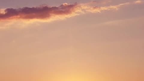 Daily Horoscope | Leo 🌟