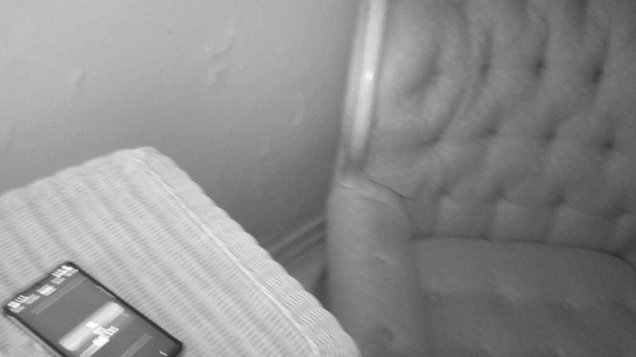 👻 Class A EVP Captured at the Sallie House | TheHauntingHour