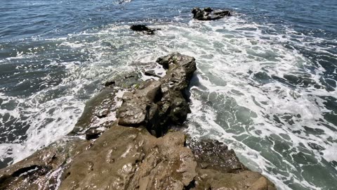 REEF Sunshine Waves Time in La Jolla San Diego #beach #waves #sunshine