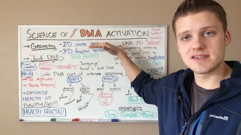 DNA is a Fractal Torsion Antenna: Activate it with Holistic Health!