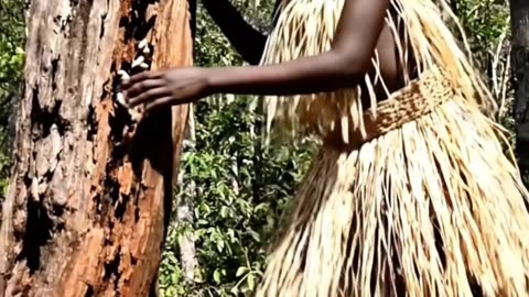 Primitive Technology