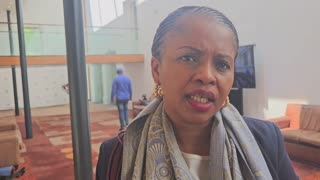 There are clearly problems within the State Security Agency, says Sangoni-Diko