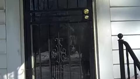 ANOTHER EVICTION_ CLEAN OUT ON CHEYENE ST, ENJOY THE SHEA SHOW