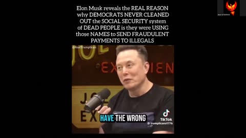 Elon Musk: “It’s a Giant Money Laundering Scheme!”