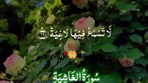 Beshak Subahanallah ♥️✨🕊️💯