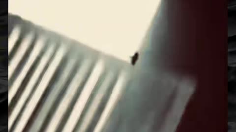 😱👻 You Won't Believe What They Caught on Camera! Creepy Paranormal Activity | TheHauntingHour