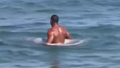 Man fights shark WTF_!_🤣🤣🤣