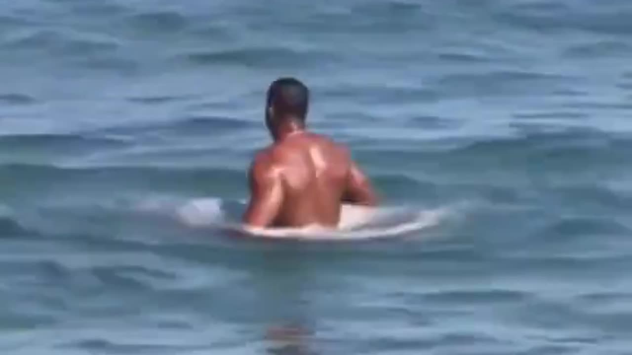 Man fights shark WTF_!_🤣🤣🤣