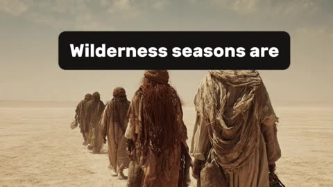 Obedience in the Wildernes