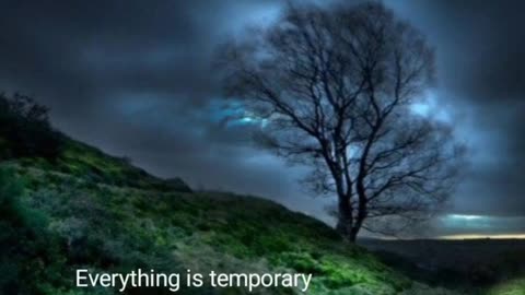 Always Be Ready to Lose People - The Strength They Never Taught You