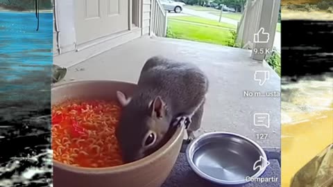 Just shorts videos 😜 #shorts #viralvideos #trending #funnyshorts #shortsfeed #memes #funny #anime