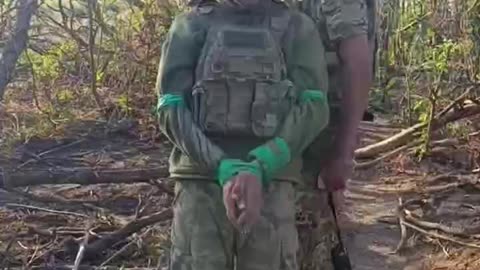 Ukraine war related/combat footage 11/24/25